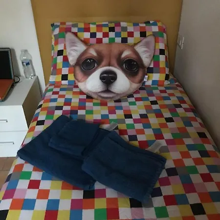 A Cà Mì *